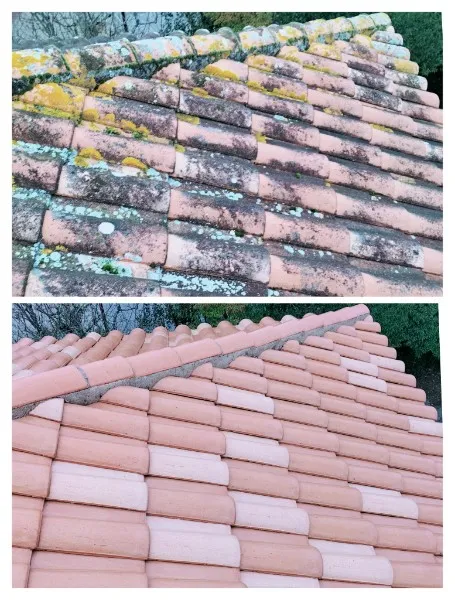 Détail de tuiles couvertes de lichen avant / après nettoyage vapeur