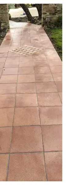 Stone pathway cleaned by Aquit'n Nettoyage