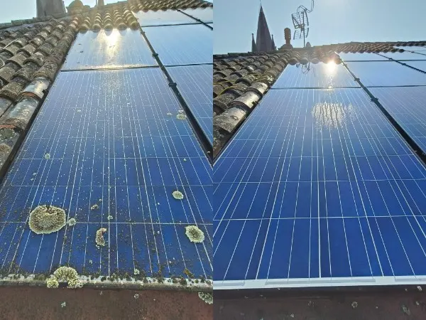 Solar panel covered in lichen, before / after cleaning