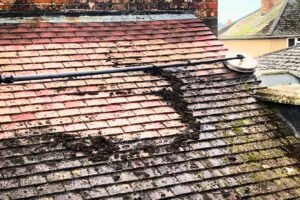 d57365bd-ddcb-4bd8-aa94-a20db86c67fa