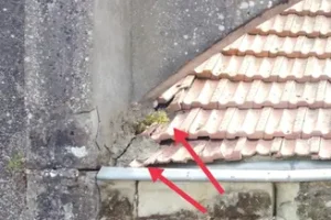 efd72d_4d38047f5a124a75996028e4eaf098b6~mv2