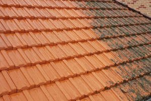 roof before after steam5